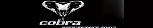 COBRA_PERFORMANCE